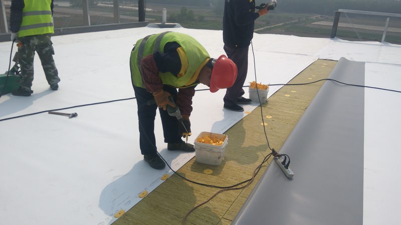 非固化橡胶沥青防水涂料与卷材：耐久性的关键对比**
